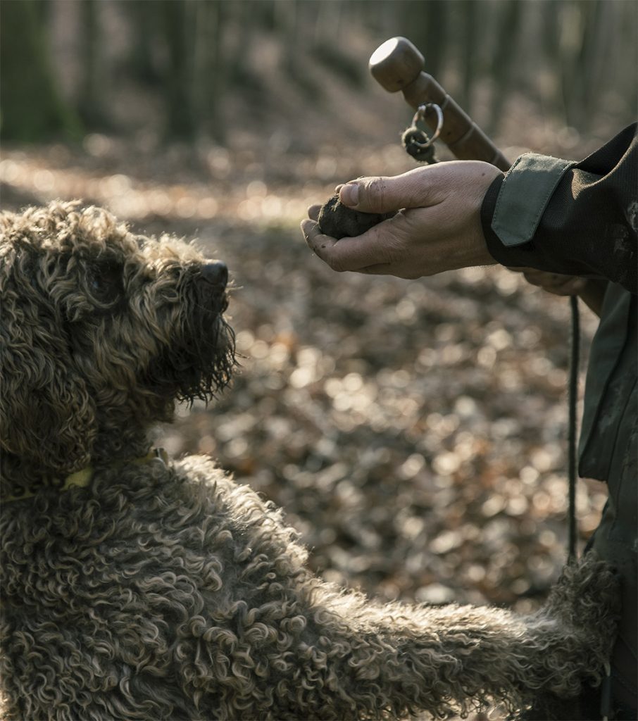 Tartufo naturale pregiato